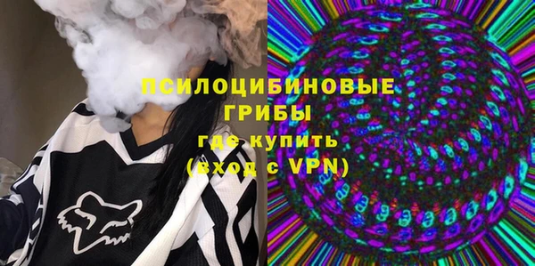 2c-b Осинники