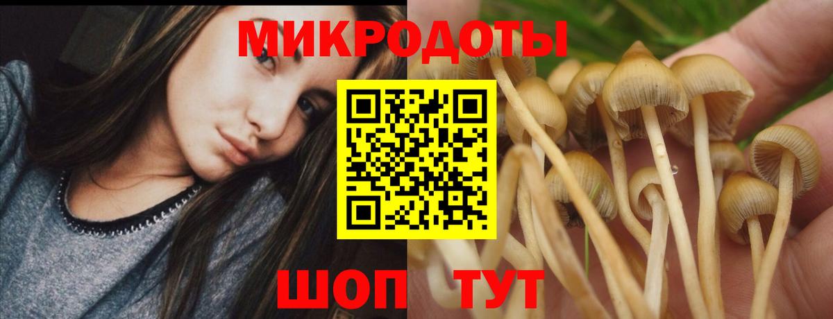Галлюциногенные грибы ЛСД  Вход с VPN  Сокол  сколько стоит  Псилоцибиновые грибы Cubensis 